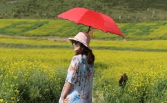 公交车的上轮杆